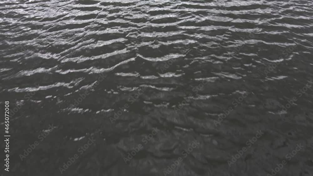 drone movement along a wide river in summer. aerial shooting