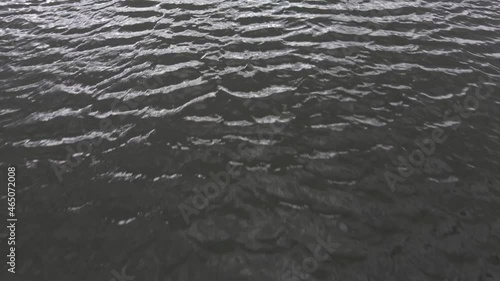drone movement along a wide river in summer. aerial shooting