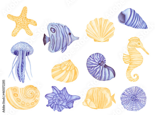 Watercolor Underwater creatures. Violet Fish, Sea Shells, Sea horse and Jelly Fish