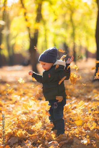 boy in autumn leaves