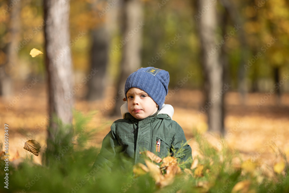 boy in autumn leaves boy in autumn leaves