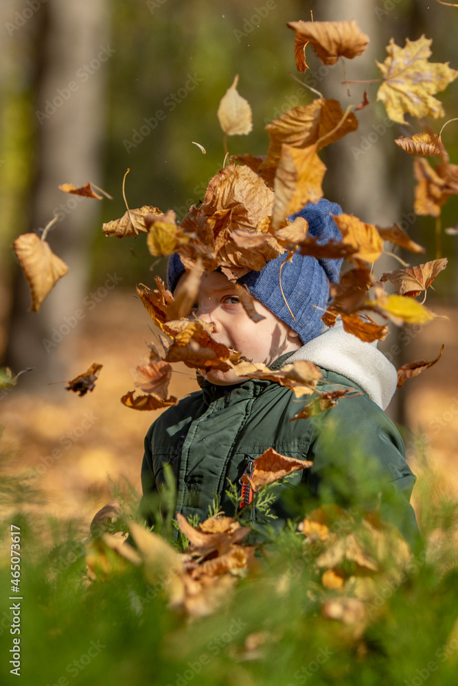 boy in autumn leaves