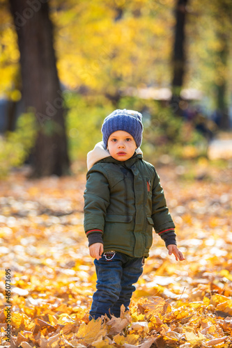 boy in autumn leaves