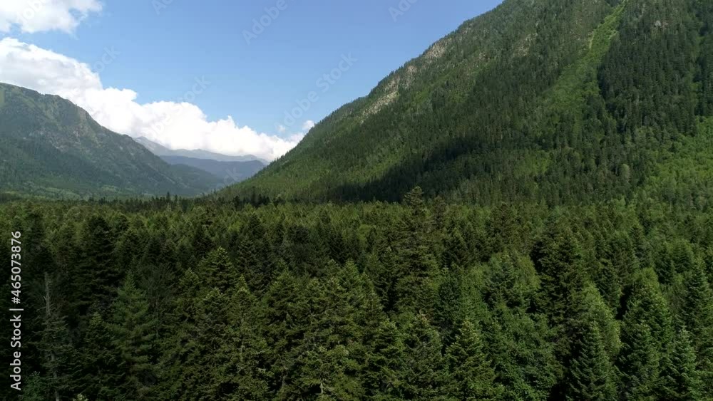 Green forest and high mountains, aerial view. Natural park panorama, beautiful forest, blue sky and clouds Green forest and high mountains, aerial view. Natural park panorama, beautiful forest, blue sky and clouds