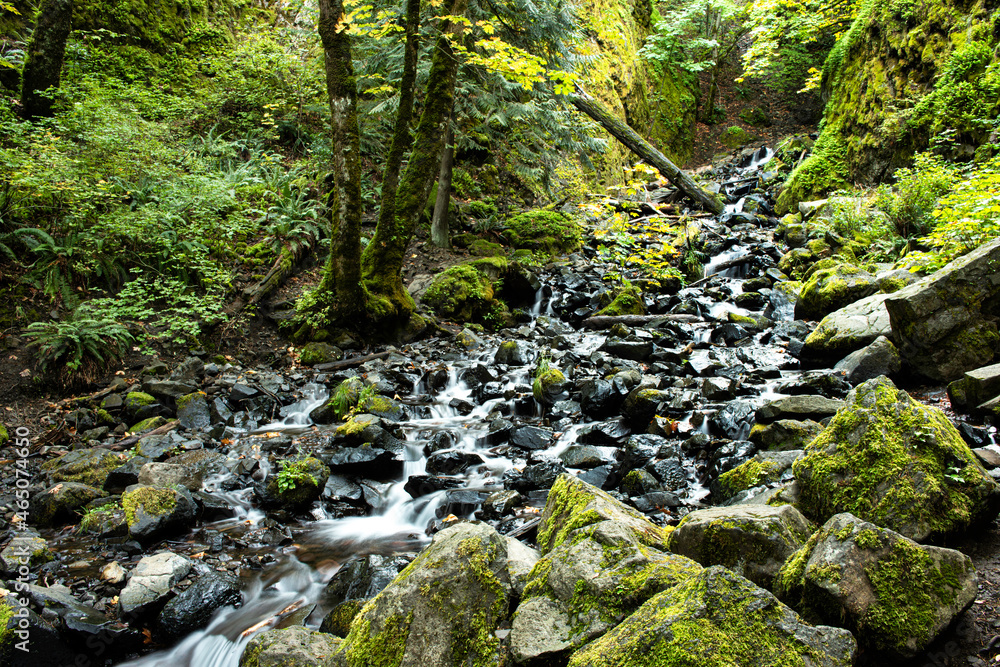 Starvation Creek Falls in the Columbia Gorge, Oregon, Taken in Early Autumn Starvation Creek Falls in the Columbia Gorge, Oregon, Taken in Early Autumn