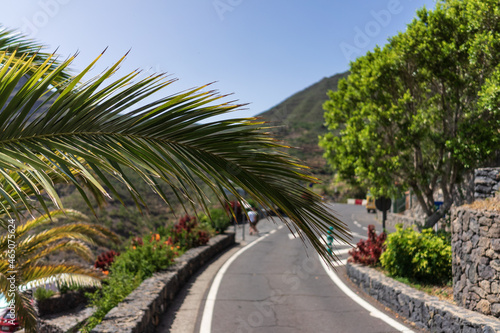 Palm branch on the background of the road. Focus on the foreground.