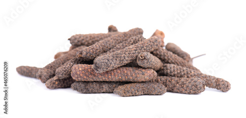 Long pepper isolated on white background. Heap of pippali or piper longum. photo