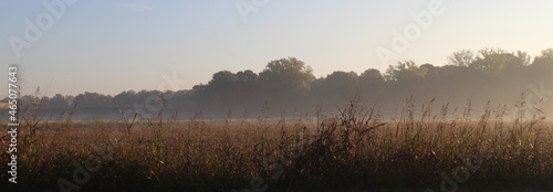 Paesaggio naturale autunnale nel mese di novembre photo