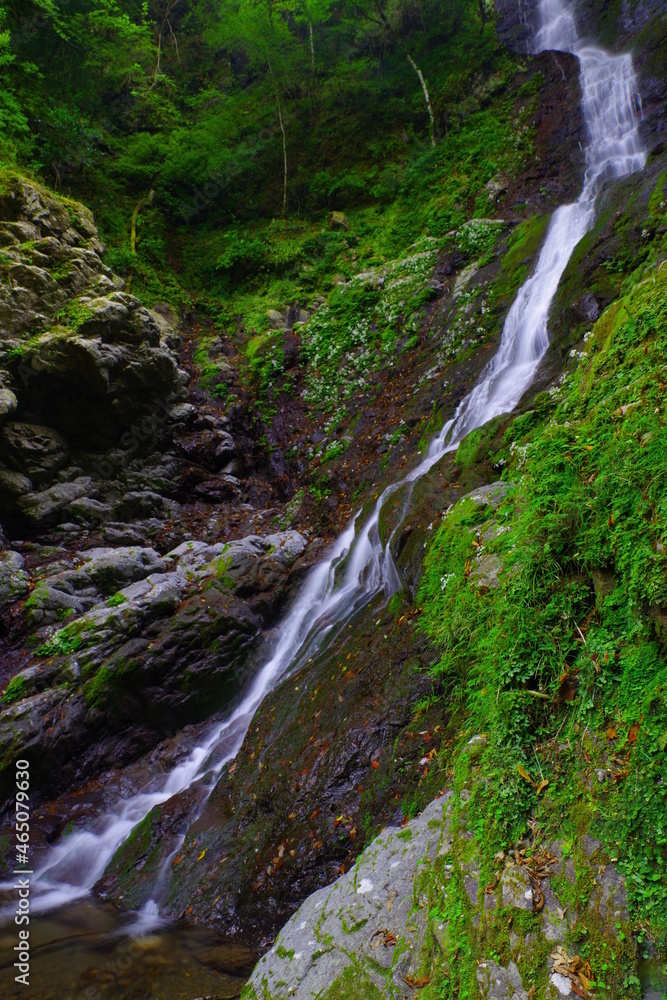 Obraz premium 流れる