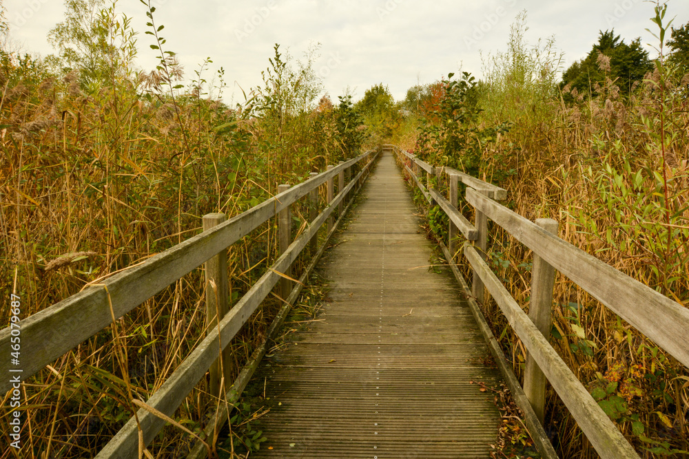 Beautiful close-up of Gravière Brock natural reserve