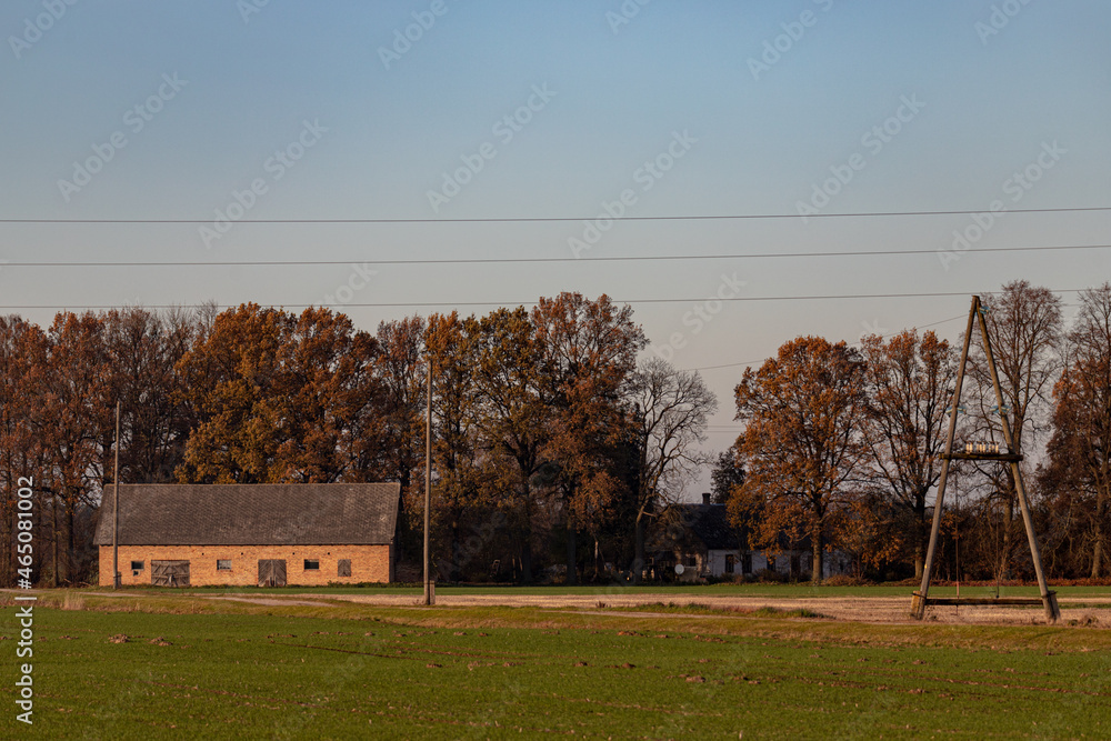 electric pole and wires over green field, red brick house and trees in distance. Agricultural field