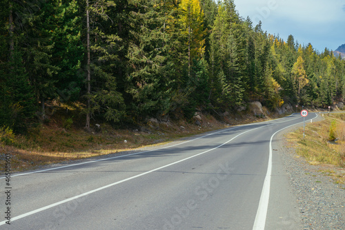 Colorful autumn landscape with larches with yellow branches along mountain highway. Coniferous forest with yellow larch trees along mountain road in autumn colors. Highway in mountains in fall time. © Daniil