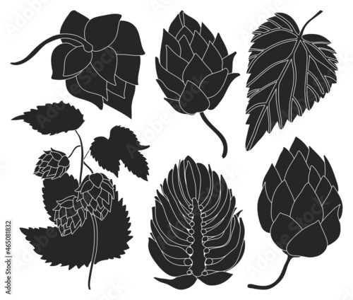 Hop vector black set icon. Isolated black set icon humulus. Vector illustration hop on white background.