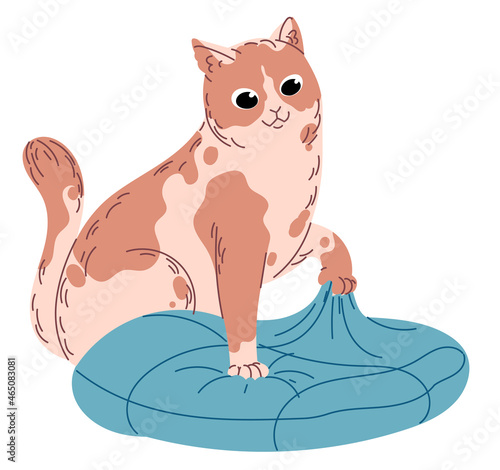 Cat enjoys digging claws into a soft cushion