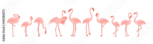 Standing cute pale pink flamingo vector clipart