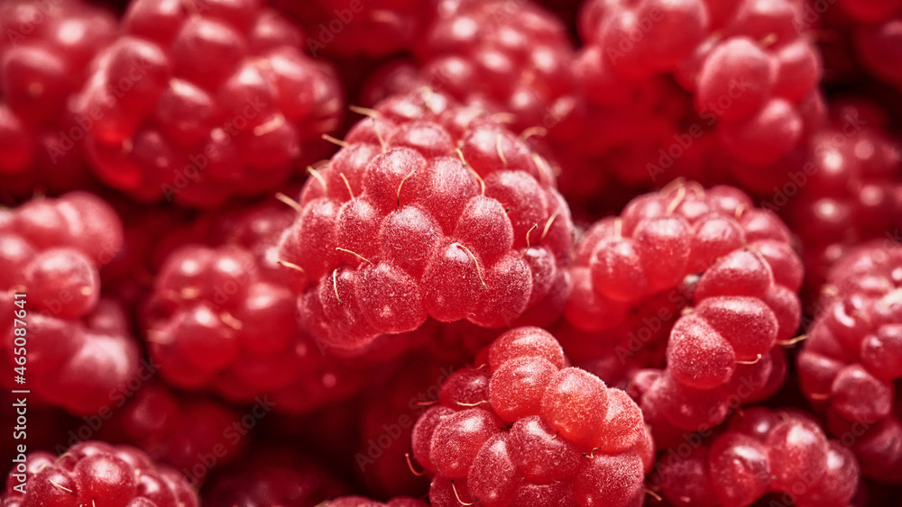 Background of ripe red raspberries. Close up, top view. Harvest Concept. Background of ripe red raspberries. Close up, top view. Harvest Concept.