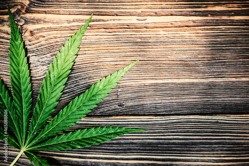 CBD, Beautiful background green cannabis flowers. Cannabis Sativa Leaves On Dark background. Medical Legal Marijuana, cannabis leaf on old wooden table.
