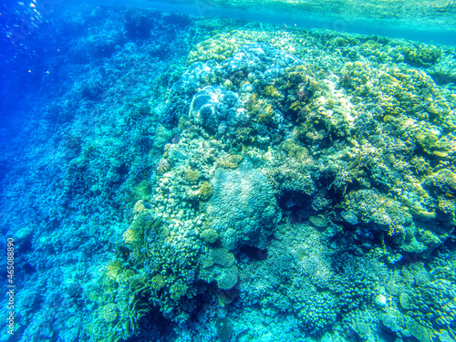 Great coral reefs at Red Sea during sunny summer day.