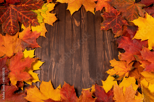 Autumn background with yellow and red maple leaves on aged wood with copy space  top view