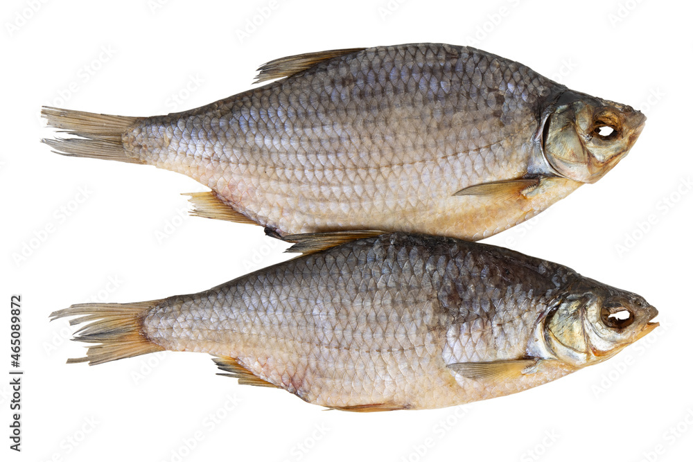 dry dried fish isolated on a white background dry dried fish isolated on a white background