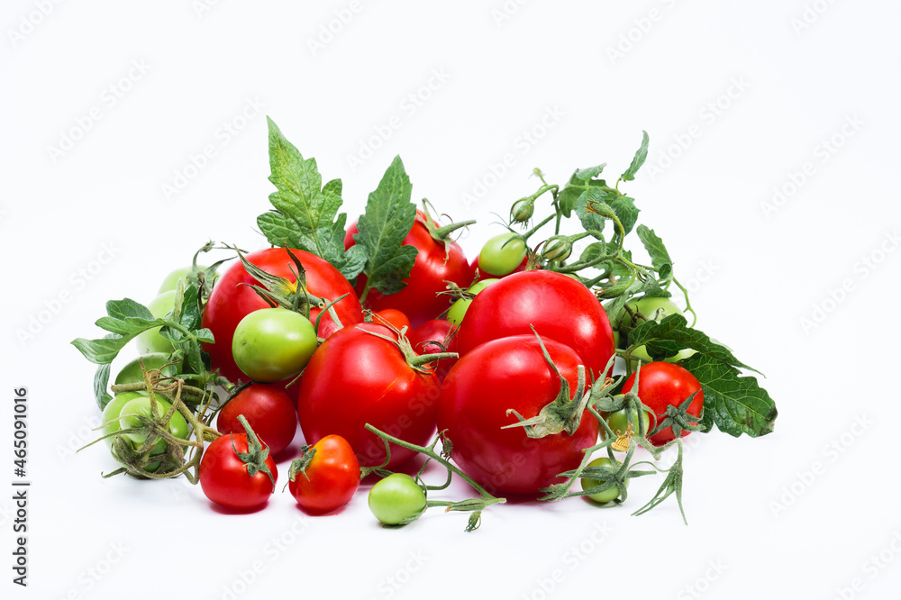 Red and green Tomato isolated on white background Red and green Tomato isolated on white background