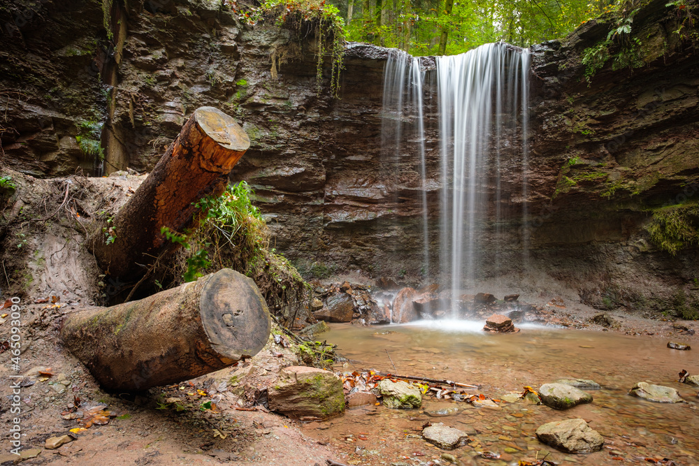 Fototapeta premium Waterfall cascade flowing into a stream with tree trunks
