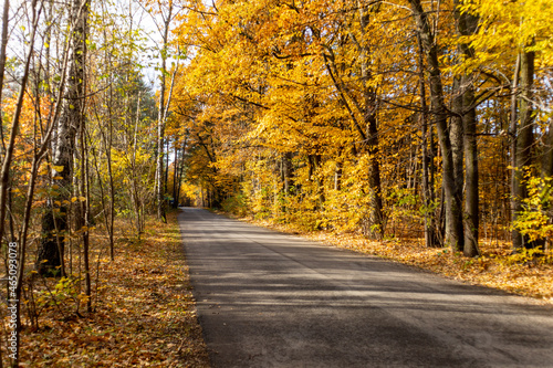 Autumn road