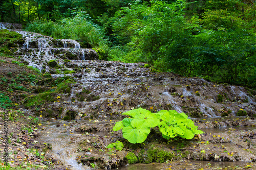 Veil waterfall in Valley of Szalajka photo