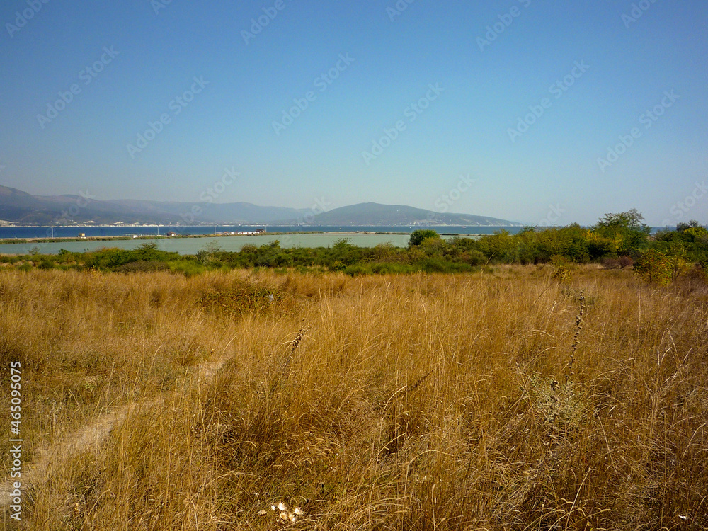 landscape in the meadow and coast