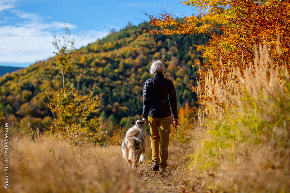 Fototapeta premium Woman and Australian Shepherd dog on an autumn walk.