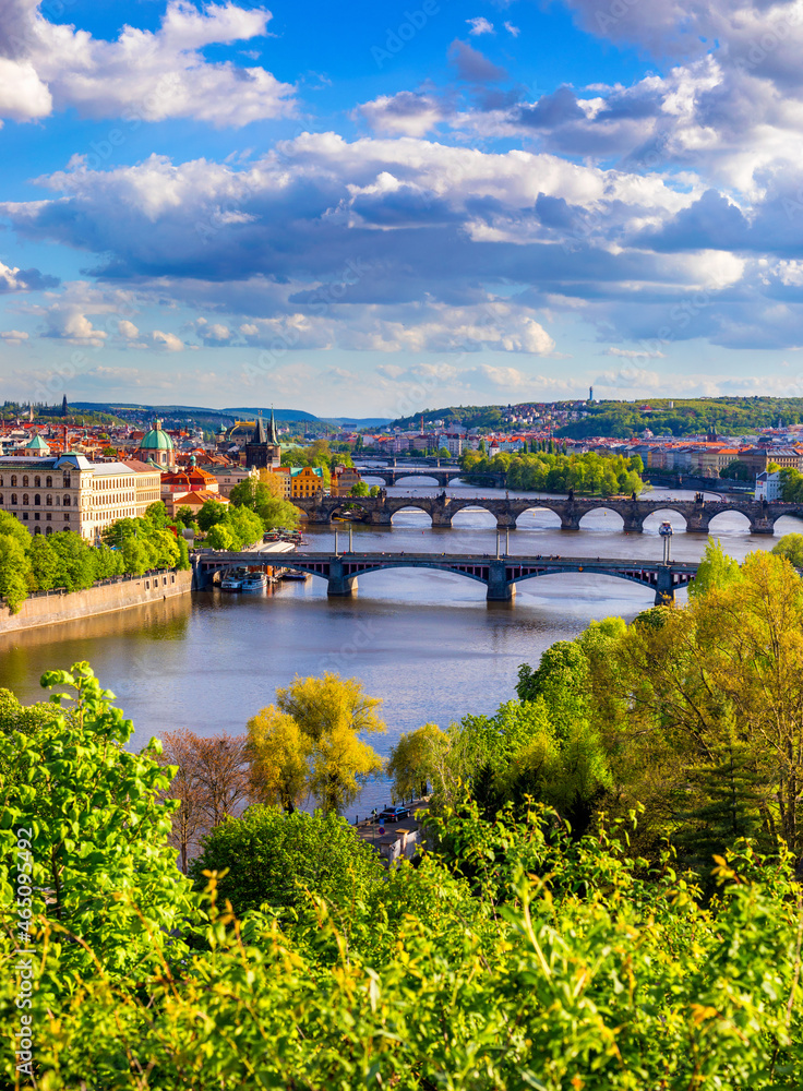 Amazing spring cityscape, Vltava river and old city center with colorful lilac blooming in Letna park, Prague, Czechia. Blooming bush of lilac against Vltava river and Charles bridge, Prague, Czechia.