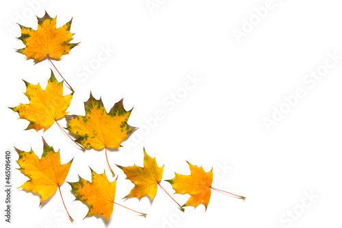 Autumn corner frame of colorful maple leaves on white background.