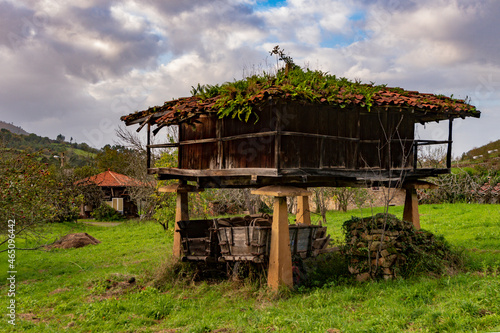 Typical rural horreo in Asturias - Spain photo