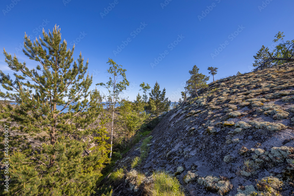 Sunny day at the lake. Reflection of the sky in the water. Pines on stones. The nature of the north. Sunny day at the lake. Reflection of the sky in the water. Pines on stones. The nature of the north.