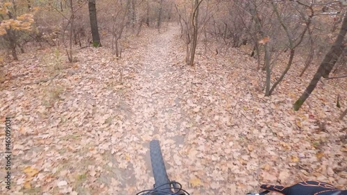 A professional extreme cyclist rides at high speed along a forest autumn technical trail. First-person view. POV.