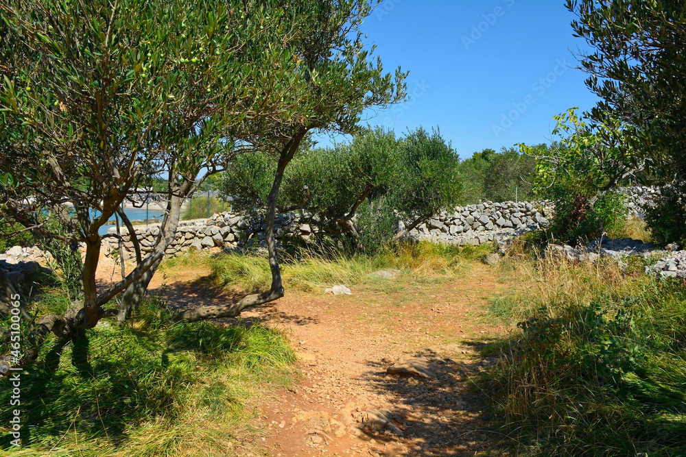 A coastal path south of the town of Punat on Krk Island in Primorje-Gorski Kotar County in western Croatia during late summer
