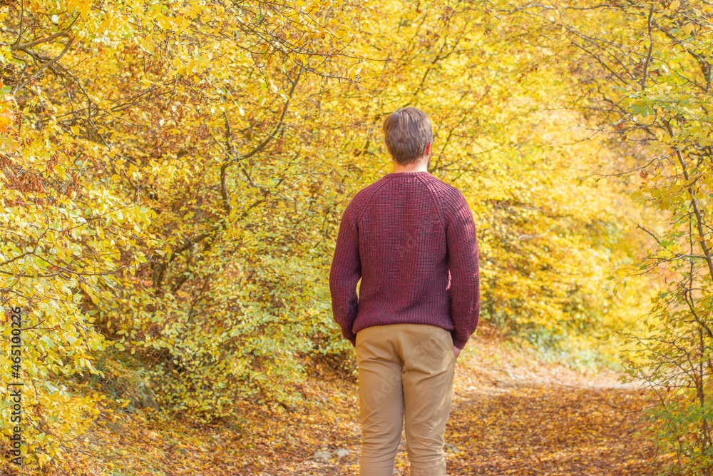 Back view freedom man enjoying autumn travel in the forest in among trees seasonal leaves Back view freedom man enjoying autumn travel in the forest in among trees seasonal leaves