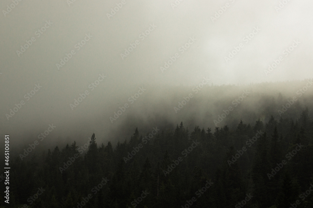 Obraz premium mgliste popołudnie