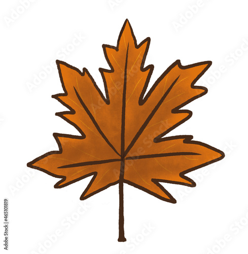 Autumn fallen maple leaf (ID: 465101819)