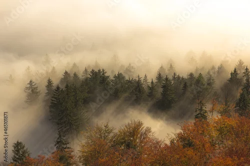 Obraz Mgliste wschody 