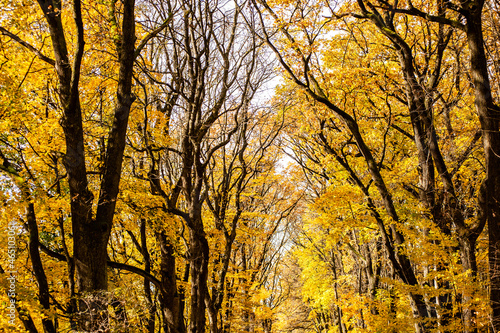 Beautiful colorful warm autumn landscape