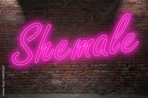 Neon Shemale lettering on Brick Wall at night