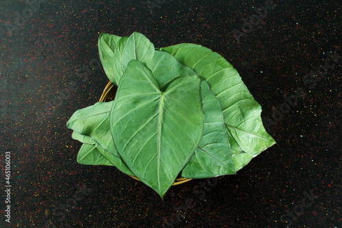 indian gujarati food leaves colocassia leaves also known as patra,arbi leaves or taro leaves photo