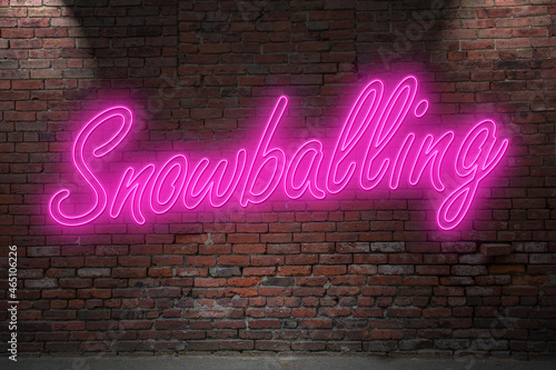 Neon Snowballing lettering on Brick Wall at night