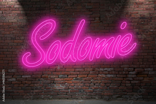 Neon Sodomy (in german Sodomie) lettering on Brick Wall at night