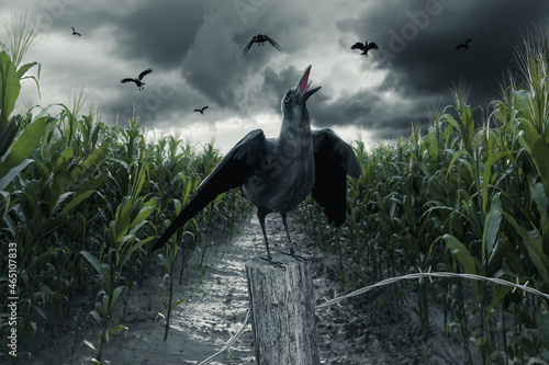 3d rendering of croaking crow on wooden post in front of green corn field photo