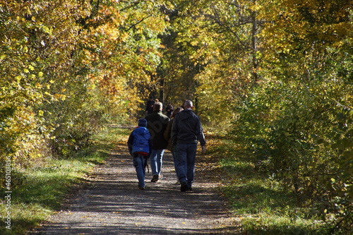 Family Autumn Walk in the Forest 