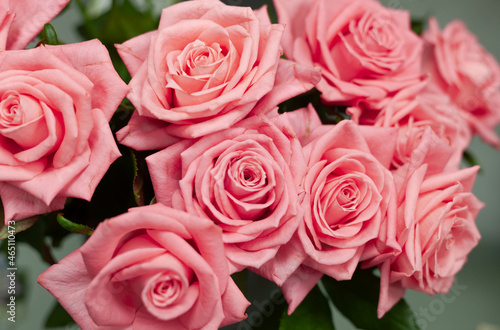 Close-up of a large bouquet of pink roses. Fresh roses close-up. Flower gift.