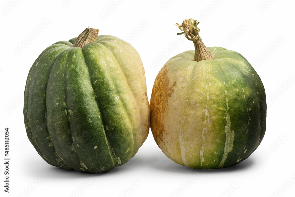 Two green pumpkins isolated on white with shadows Two green pumpkins isolated on white with shadows
