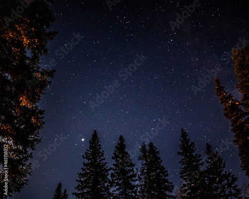Stars and Trees